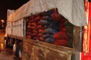 Bursa'da 21 ton ka&ccedil;ak midye ele ge&ccedil;irildi