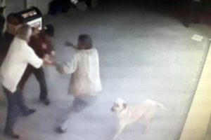 İzmir'in g&ouml;beğinde dehşet sa&ccedil;tılar!