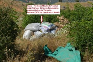 Ağa&ccedil;ların arasında 373 kilo esrar bulundu