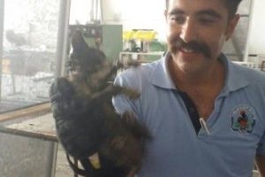 Su borusuna sıkışan kediyi itfaiye kurtardı