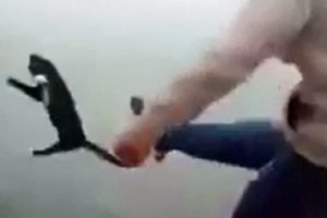 Boğazına ip bağladığı kediyi tekmeyle denize attı