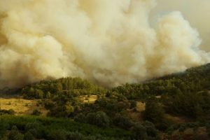 Kumluca'daki yangın kısmen kontrol altına alındı