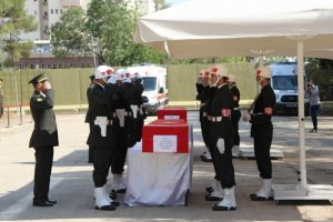 Lice şehitleri memleketlerine uğurlandı