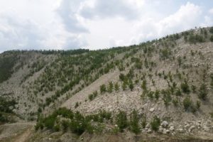 Bakanlıktan Bursa G&uuml;m&uuml;şpınar'daki maden ocakları hakkında a&ccedil;ıklama