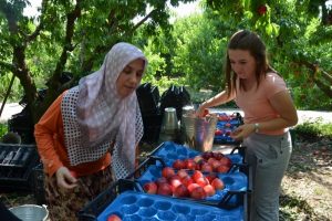 Erdoğan'ın Putin'e mektubu Bursa'daki &uuml;reticilerin umudu oldu