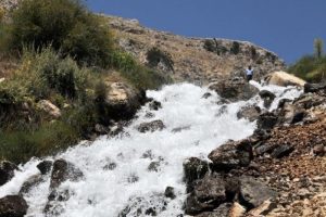G&ouml;mbe Yaylası sıcaktan bunalanları bekliyor