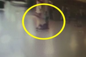 Canlı bombayı vuran polisten haber var