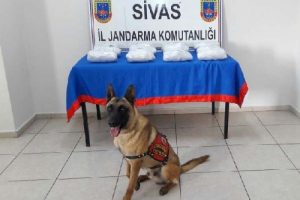 Yolcu otob&uuml;s&uuml;nde 10 kilo 750 gram esrar ele ge&ccedil;irildi