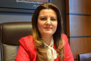 CHP'li Kaplan'dan k&ouml;pr&uuml; a&ccedil;ılışına tepki
