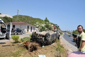 Otomobil muz ağacına &ccedil;arptı: 1 yaralı