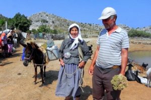 Taşlıca'nın 150 yıllık su sorunu zirve yaptı