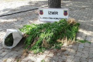 Tire'de uyuşturucu operasyonu