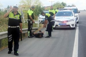 Polisten ka&ccedil;an s&uuml;r&uuml;c&uuml; kıskıvrak yakalandı