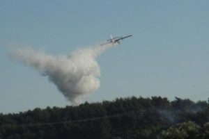 Ormanlık alanda korkutan yangın