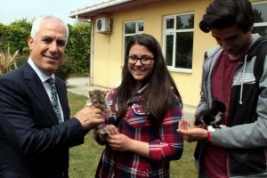 Bursa'da sokaktan toplayıp sahip buluyorlar