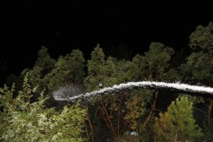 Kastamonu'da orman yangını