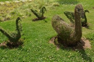 Bursa'da bodur ağa&ccedil; ve &ccedil;alılıklardan hayvan fig&uuml;rleri