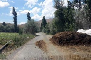 S&uuml;r&uuml;c&uuml;ler &ouml;l&uuml;mle burun buruna
