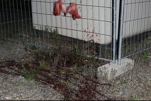 Avusturya'daki cami saldırısına istihbarat &ouml;rg&uuml;tlerinin de adı karıştı