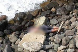 Balık&ccedil;ılar buldu: Ayakları bağlı, parmak u&ccedil;ları kesilmiş...