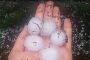 Ceviz b&uuml;y&uuml;kl&uuml;ğ&uuml;nde dolu yağdı