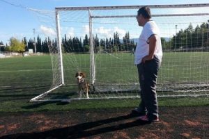Bursa'da kale ağlarına dolanan k&ouml;peği itfaiye kurtardı