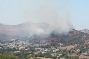 Bodrum'da makilik alanda yangın