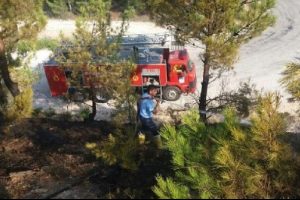 Erken ihbar, Silifke'de b&uuml;y&uuml;k bir orman yangını &ouml;nledi