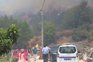 Bodrum'da yangın, k&ouml;ye 100 metre kala s&ouml;nd&uuml;r&uuml;lebildi