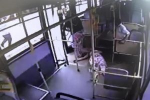 Antalya'da arıların saldırısına uğrayan kadın canını zor kurtardı