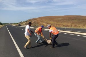 Tekirdağ'da s&uuml;r&uuml;c&uuml;leri tedirgin eden g&ouml;r&uuml;nt&uuml;