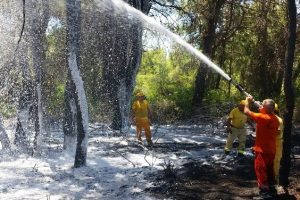 Manavgat'ta orman yangını