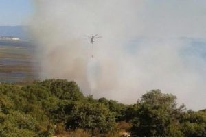 Fo&ccedil;a'da orman yangını