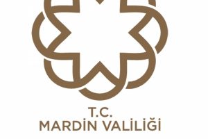 Mardin Valiliği: 4 ter&ouml;rist etkisiz hale getirildi