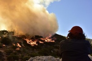 Bodrum'da makilik alanda yangın