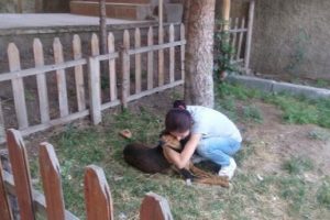 G&uuml;l&uuml;c&uuml;ğ&uuml; &ouml;ld&uuml;ren sanığa 18 bin TL adli para cezası