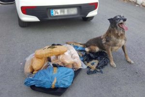 Uşak'ta 10 kilo 740 gram esrar ele ge&ccedil;irildi