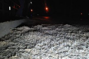 Birg&uuml;n sineklerinin '&ouml;l&uuml;mle dansı' başladı