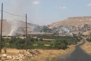 Karakola saldırıyla ilgili Mazıdağı Belediyesi zabıta amiri g&ouml;zaltında