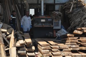 Bursa'da iskelethanede feci &ouml;l&uuml;m