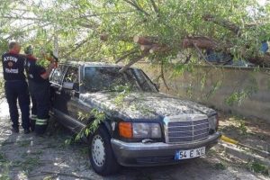 L&uuml;ks otomobilin &uuml;zerine ağa&ccedil; devrildi