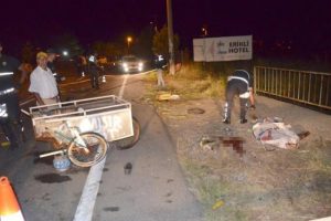Otomobilin &ccedil;arptığı seyyar satıcı &ouml;ld&uuml;