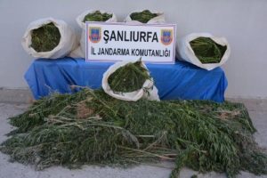 Birecik'te uyuşturucu operasyonu: 4 g&ouml;zaltı
