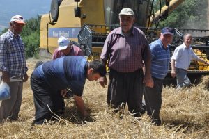 Buğday fiyatları Bursa'da &ccedil;ift&ccedil;iyi memnun etmedi