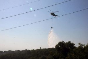 Yalova'da 30 d&ouml;n&uuml;ml&uuml;k orman alan yandı