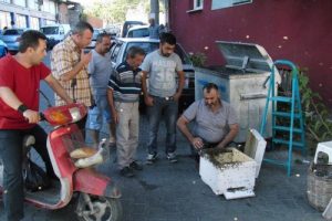 Ağa&ccedil;taki arılar işlek caddeyi hareketlendirdi