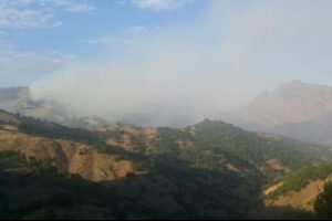 Tunceli'de, PKK bomba y&uuml;kl&uuml; ara&ccedil;la karakola saldırdı
