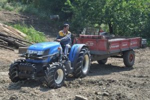 Bursa'da her derde deva bal