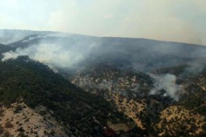 Ankara'da orman yangını