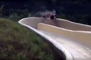 Su kayağı yaparken inanılmaz kaza